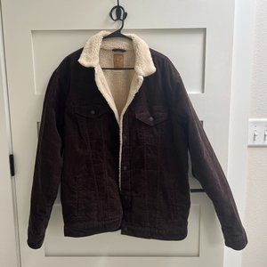 GAP Icon Corduroy Sherpa Jacket Men's LARGE TALL like new Gently Used Brown